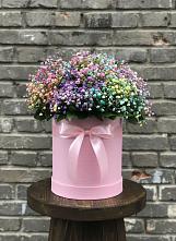 Цветочная композиция из Гипсофила и Розы в шляпной коробке #REPLACE_PRED# Кошки Самарская область