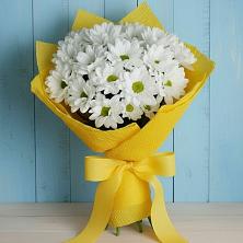 Букет цветов из:  Хризантемы в Кошки Самарская область