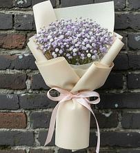 Букет цветов из:  Гипсофила в Кошки Самарская область