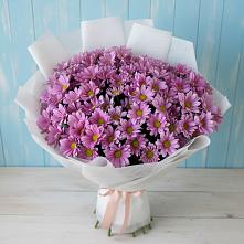 Букет цветов из:  Хризантемы в Кошки Самарская область