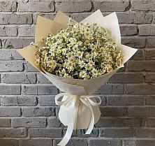 Букет цветов из:  Ромашки #REPLACE_PRED# Кошки Самарская область