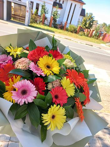 Букет цветов из: Герберы в Кошки Самарская область